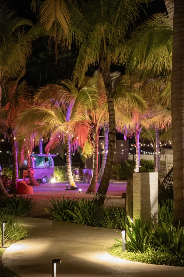 La iluminación y el ambiente de una celebración al aire libre